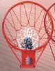 Basketbal Ring Met Veer 16mm