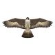 Birds of Prey Falcon Vlieger - 122 x 50 cm