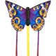 Butterfly Buckeye  R Vlieger Maat: 52 X 34 CM